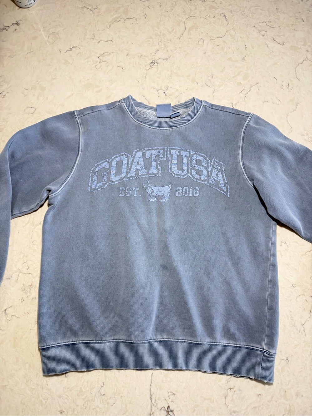 Vintage-Finish Light Blue Crewneck Sweatshirt with Chest Logo